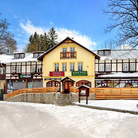 Hotel Erika Špindlerŭv Mlýn Kültér fotó